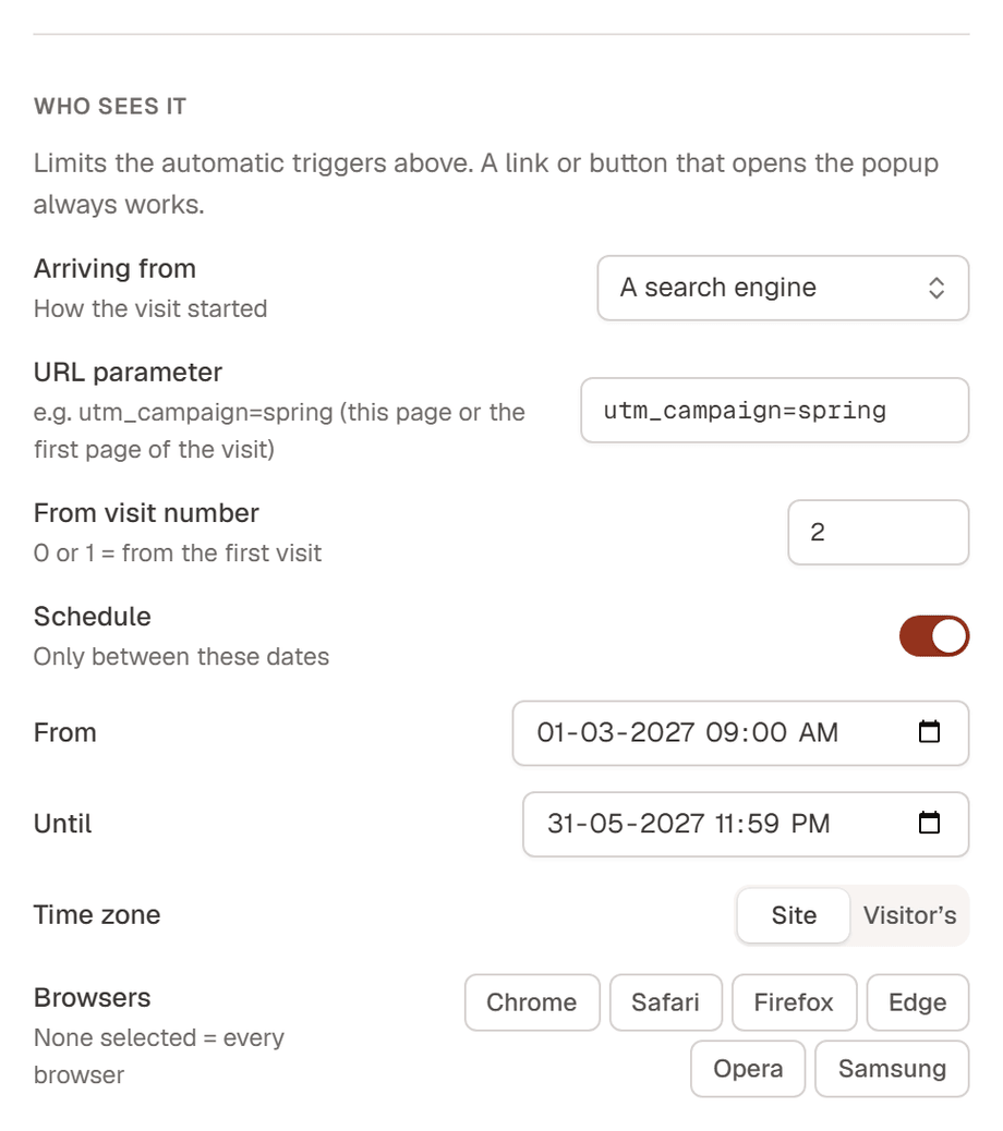 The Who sees it group: Arriving from set to A search engine, a URL parameter, From visit number 2, a schedule from March to May with the site time zone, and browser buttons